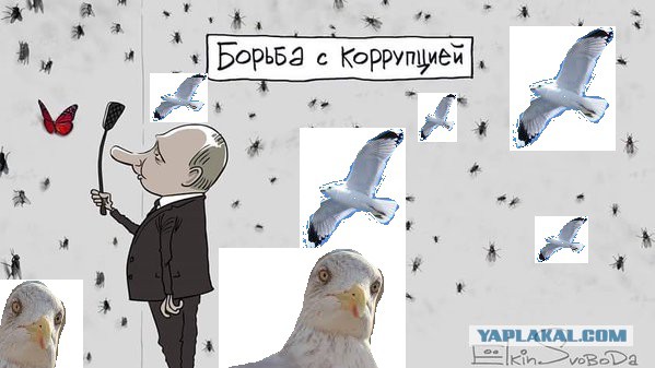 Борьба с коррупцией!