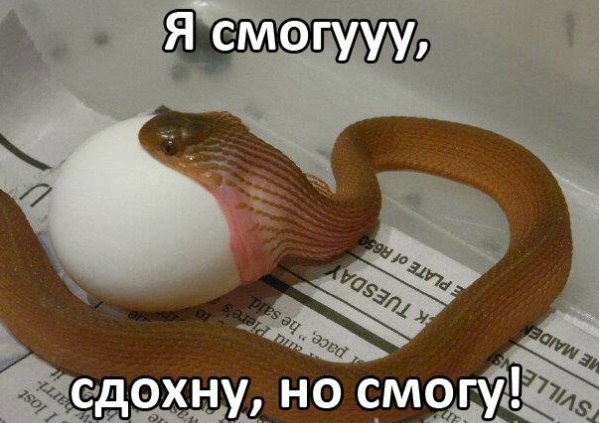 Под вечер, вторника.