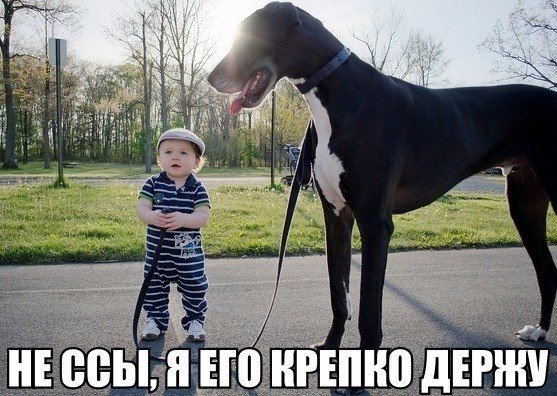 Свежая подборка картинок