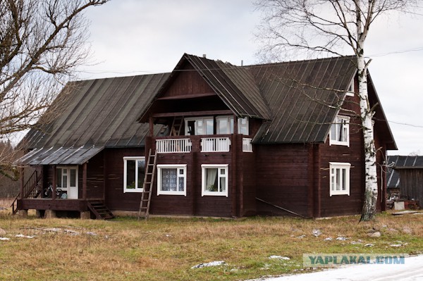 Как делают фермерский сыр