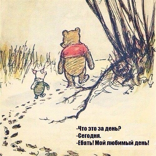 Весёлые картинки
