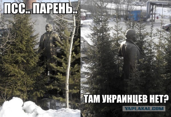 Комментарии, подписи, текстовые приколы