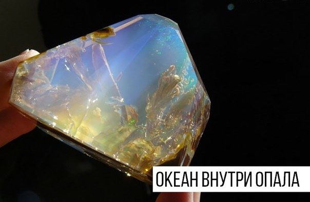 Интересные и веселые картинки