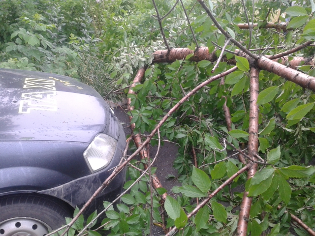 Утро началось не с кофе, или повезло так повезло!