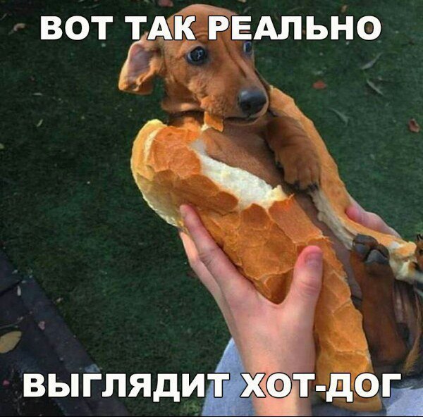 Интересные и веселые картинки