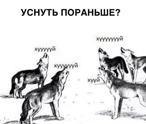 Приколюшки