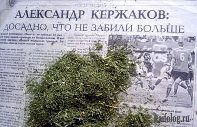 Подборка интересных и веселых картинок