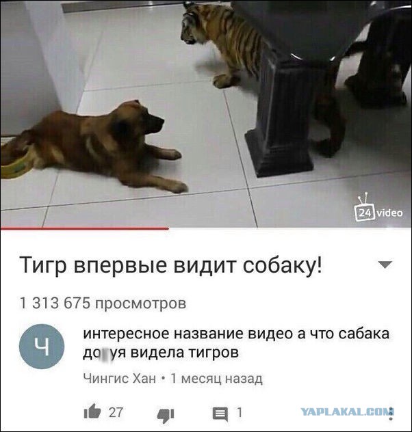 Смешные коменты