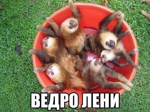 Прикольные картинки
