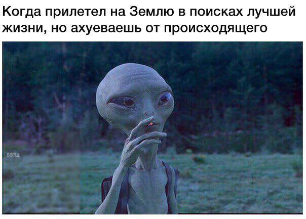 Поставим точку. Рептилоидам.