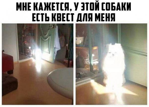Околоигровой юмор ver. 0.06