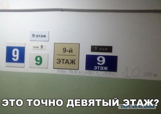 Чернь и деградация к выходным