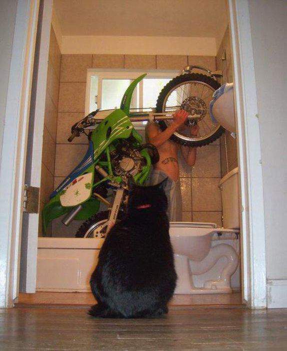 Подборка интересных и веселых картинок