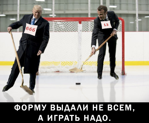 Сажающие дерево Трамп и Макрон превратились в мем