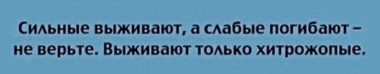 Анекдоты и картинки с надписями