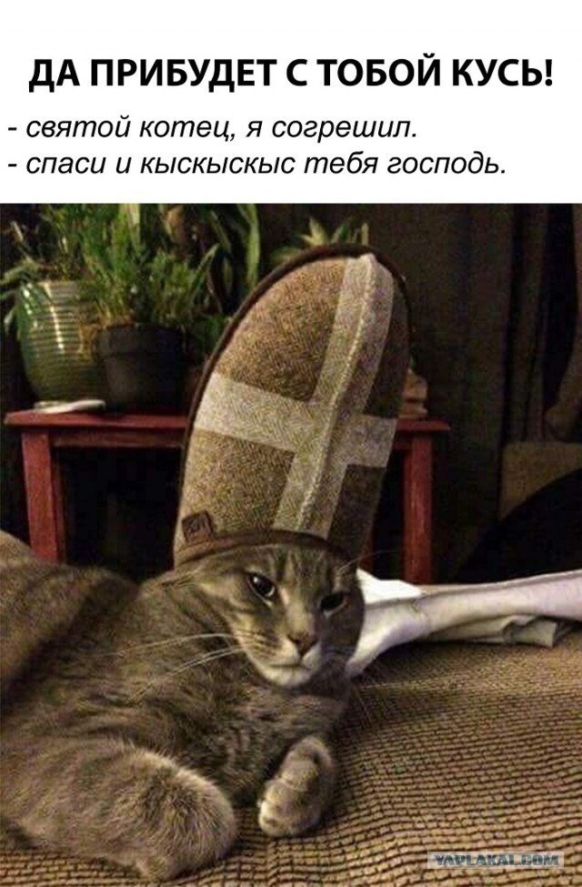 S-котство