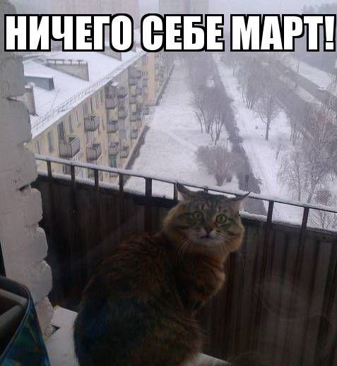 Зима уже пришла