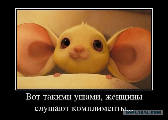 Прелести жизни разведенки