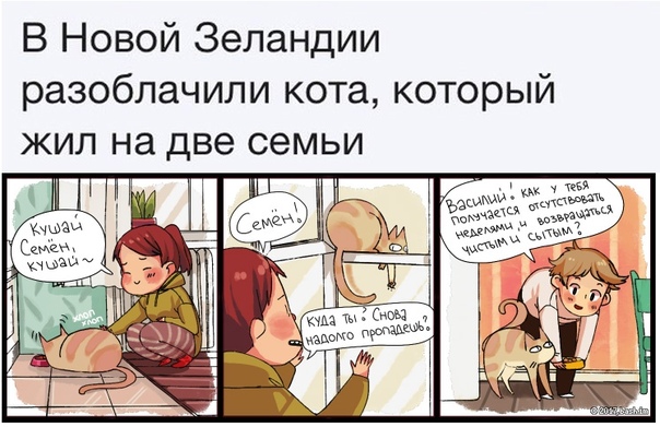 Чуток картинок. 08.10.19
