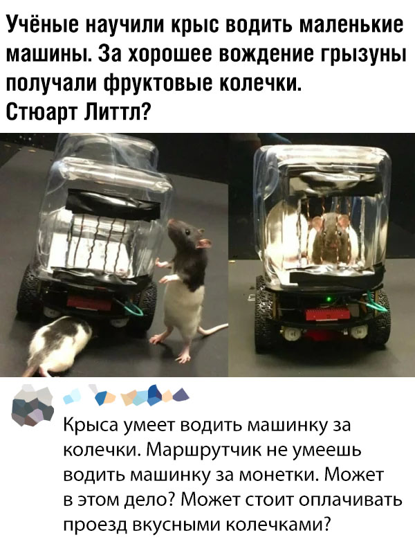 Прикольные пикчи 24.10.19