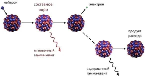 Америций-242: для разнообразия ядерной войны