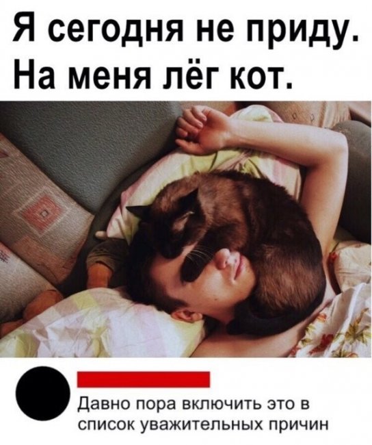 Прикольные комментарии и высказывания из соцсетей 06.01.20