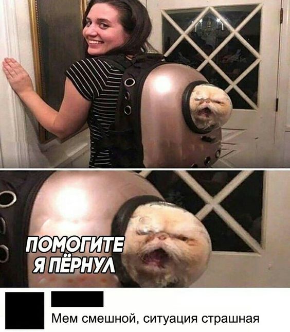 Даёшь картинкой по воскресенью 0202.2020