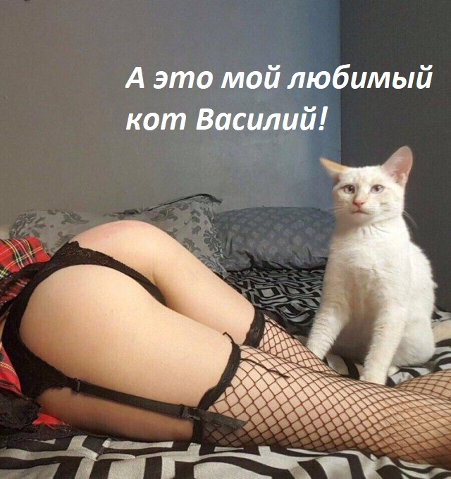Немного картинок на злобу дня