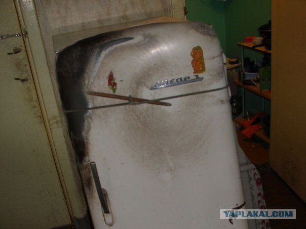 Холодильник в общаге
