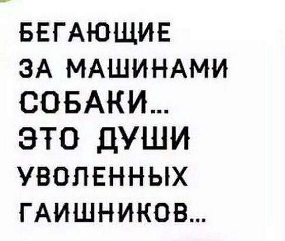 Бредзона 25.08.2020