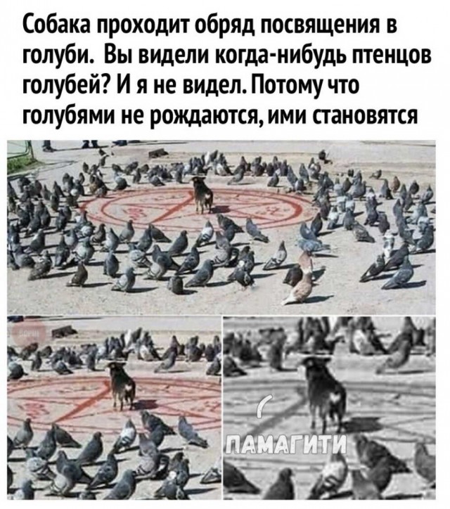 Бредзона 03.09.2020