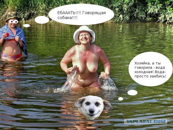 Фотожаба: Собака-улыбака