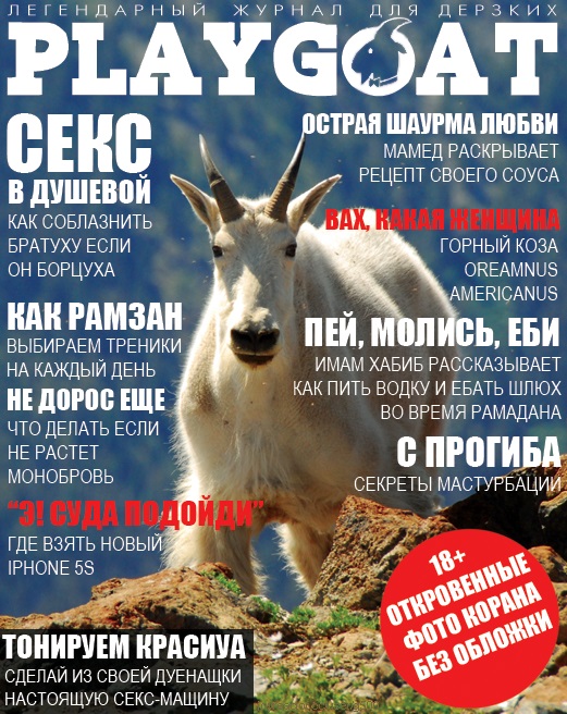 Надо своим котэ выписывать начать