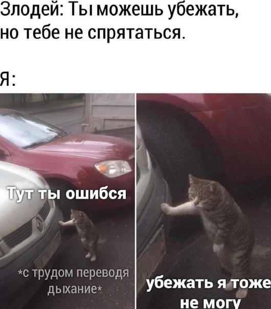 Юмор в картинках 11.11.2020 (2)