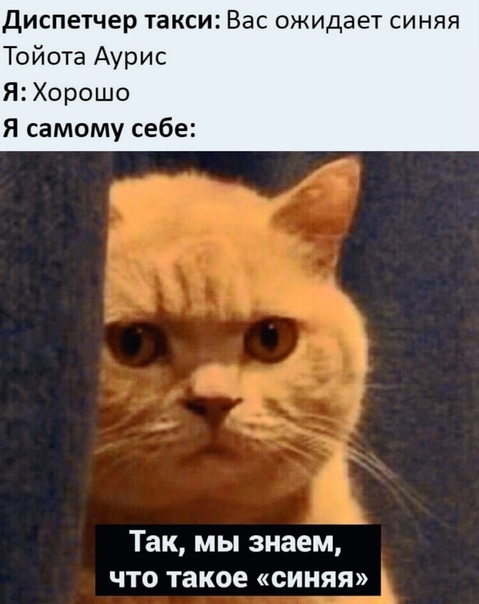 Картинки и мемы для настроения 014