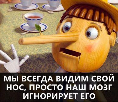 Кретинизмы из сети 20.12.20