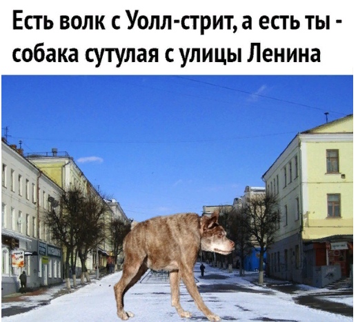 Кретинизмы из сети 12.01.21