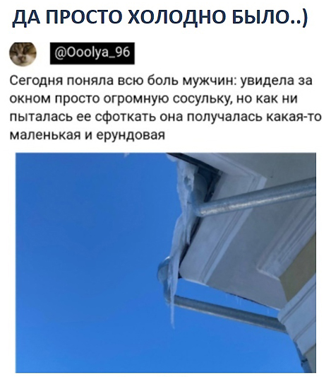 Шелушение коры