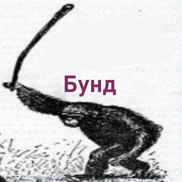 На Украине предупредили о возможном дефиците свинины и сала