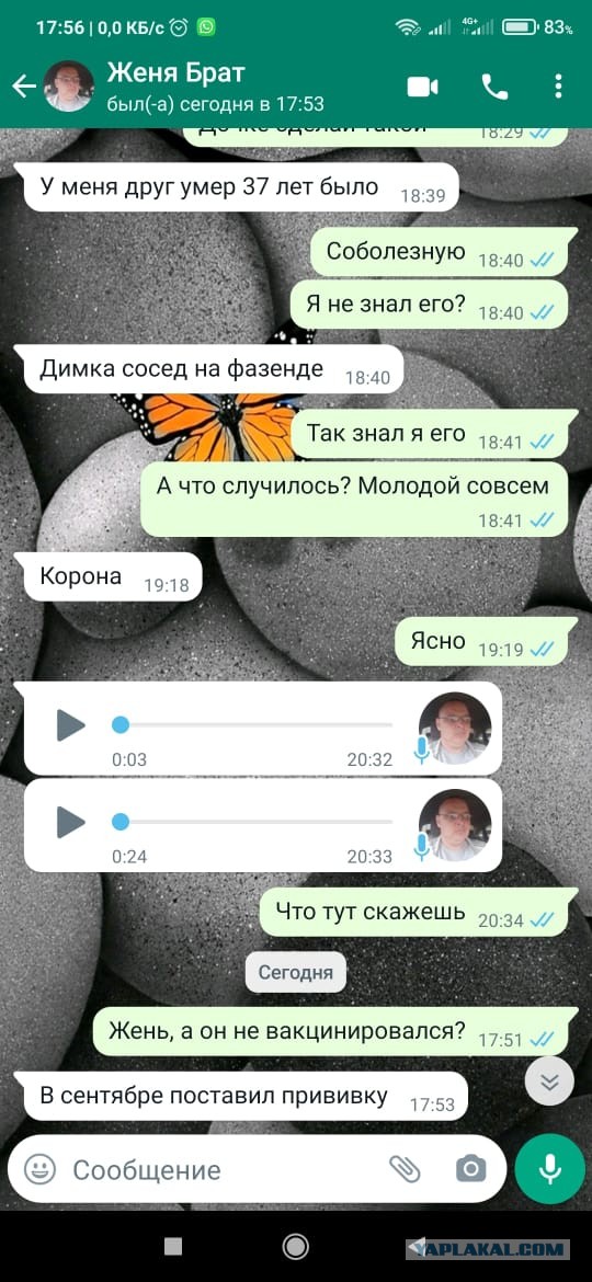 Этапы вакцинации