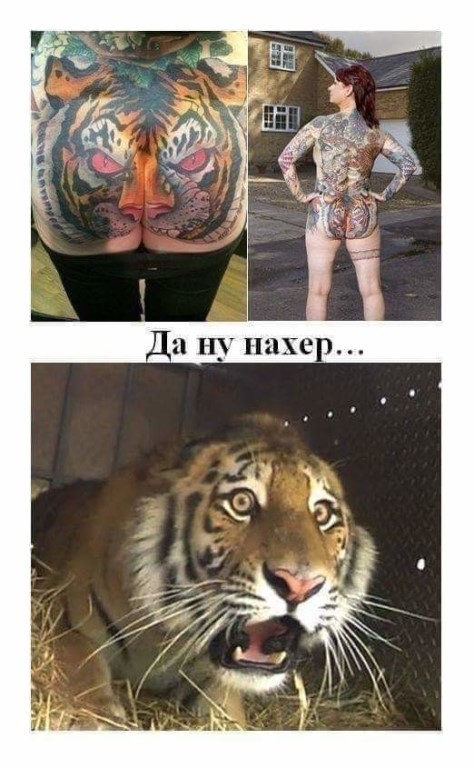 Всяческие картинки 15.11.2021