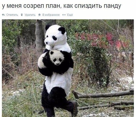 Картинки и мемы для настроения 23.11.2021