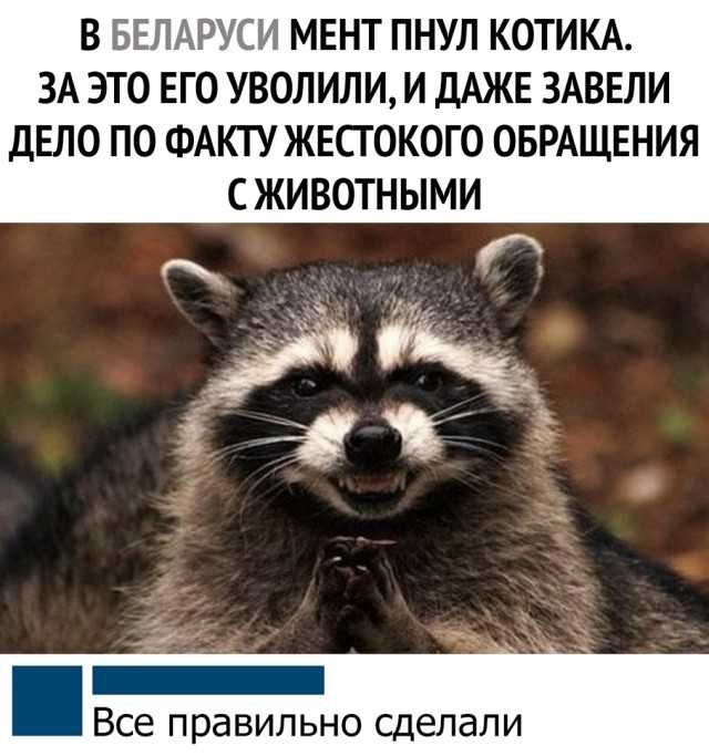 Баяны бабыЯны