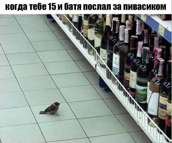 Аморальная деградация