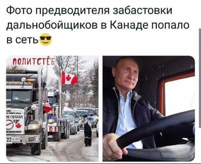 Ну наконец-то! Канадская журналистка распознала русский след в организации протеста дальнобойщиков