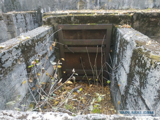 ЯП кругосветка. Этот проект завершился!