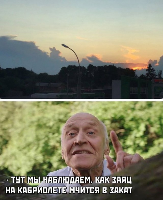 Картинки и мемы для настроения - 27