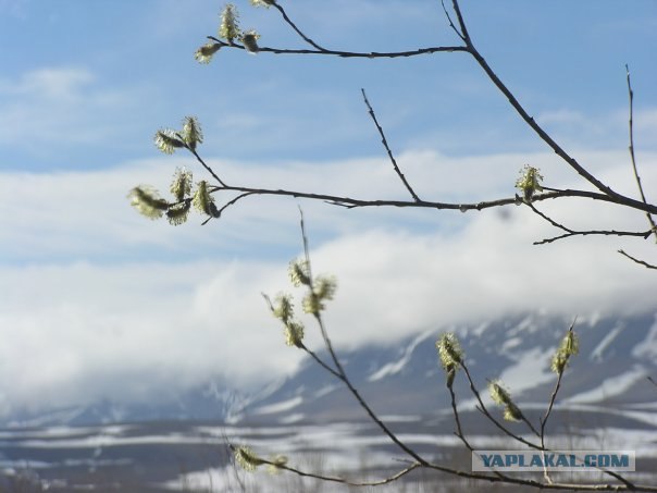 Полярный Урал - 2011