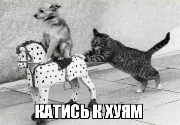 Погибших в пожаре на цветочном складе в Москве чудом не стало больше