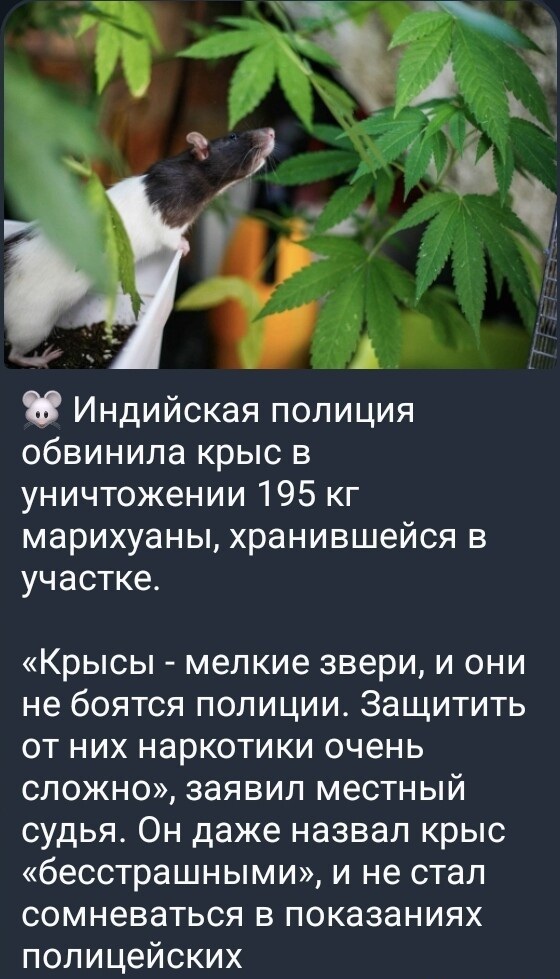 Немного картинок для настроения - 127